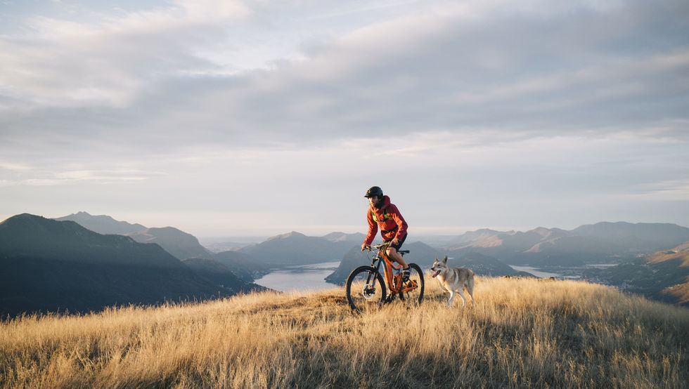 bikejoring