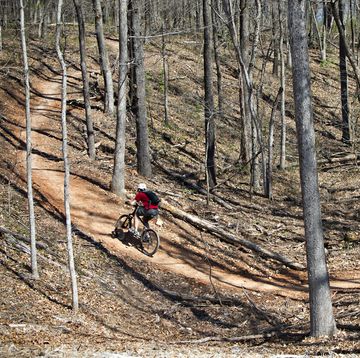 mountain biker on arkansas trail