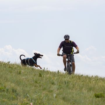 een hond rent op een mountainbiker af