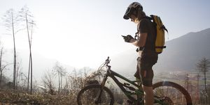 Mountain biker sends text from forest track, mountains