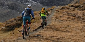 mountain bikers ascend trail through alpine meadow, mountains