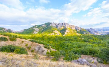mountain chain covered with trees and bushes