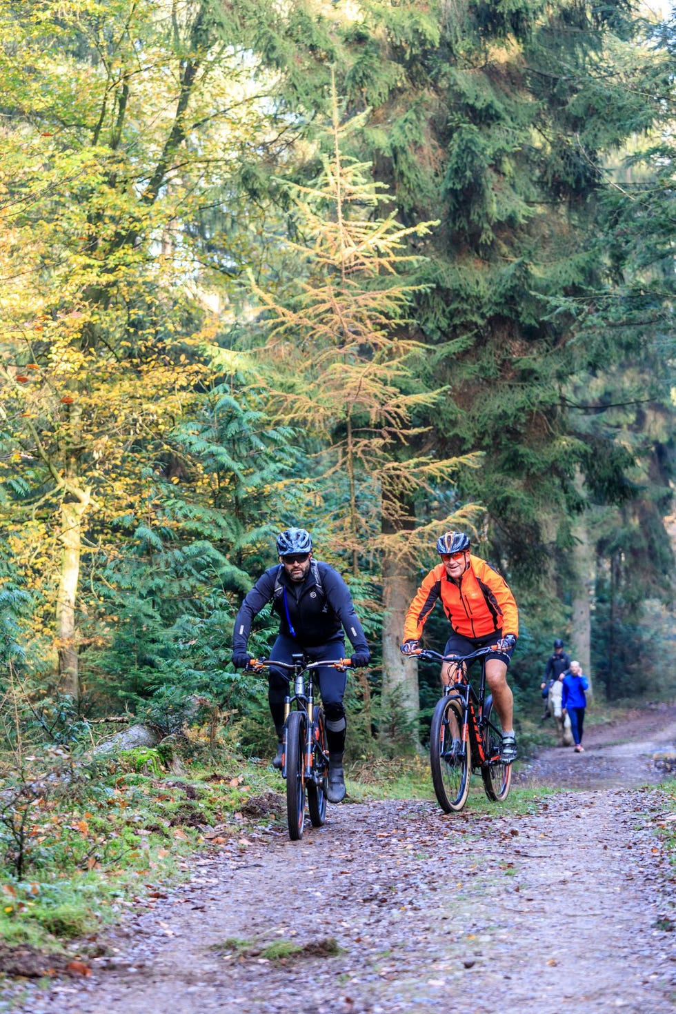 Doorkruis de Veluwe bossen per mountainbike