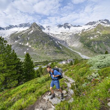 mountaineer on hiking trail in picturesque mountain landscape with alpine roses, in the background mountain peak grosser moeseler with glacier waxeggkees and mountain hut berliner huette, berliner hoehenweg, zillertal alps, tyrol, austria, europe