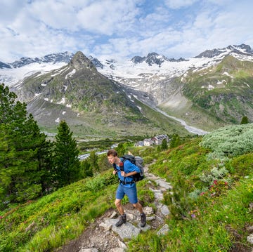 mountaineer on hiking trail in picturesque mountain landscape with alpine roses, in the background mountain peak grosser moeseler with glacier waxeggkees and mountain hut berliner huette, berliner hoehenweg, zillertal alps, tyrol, austria, europe