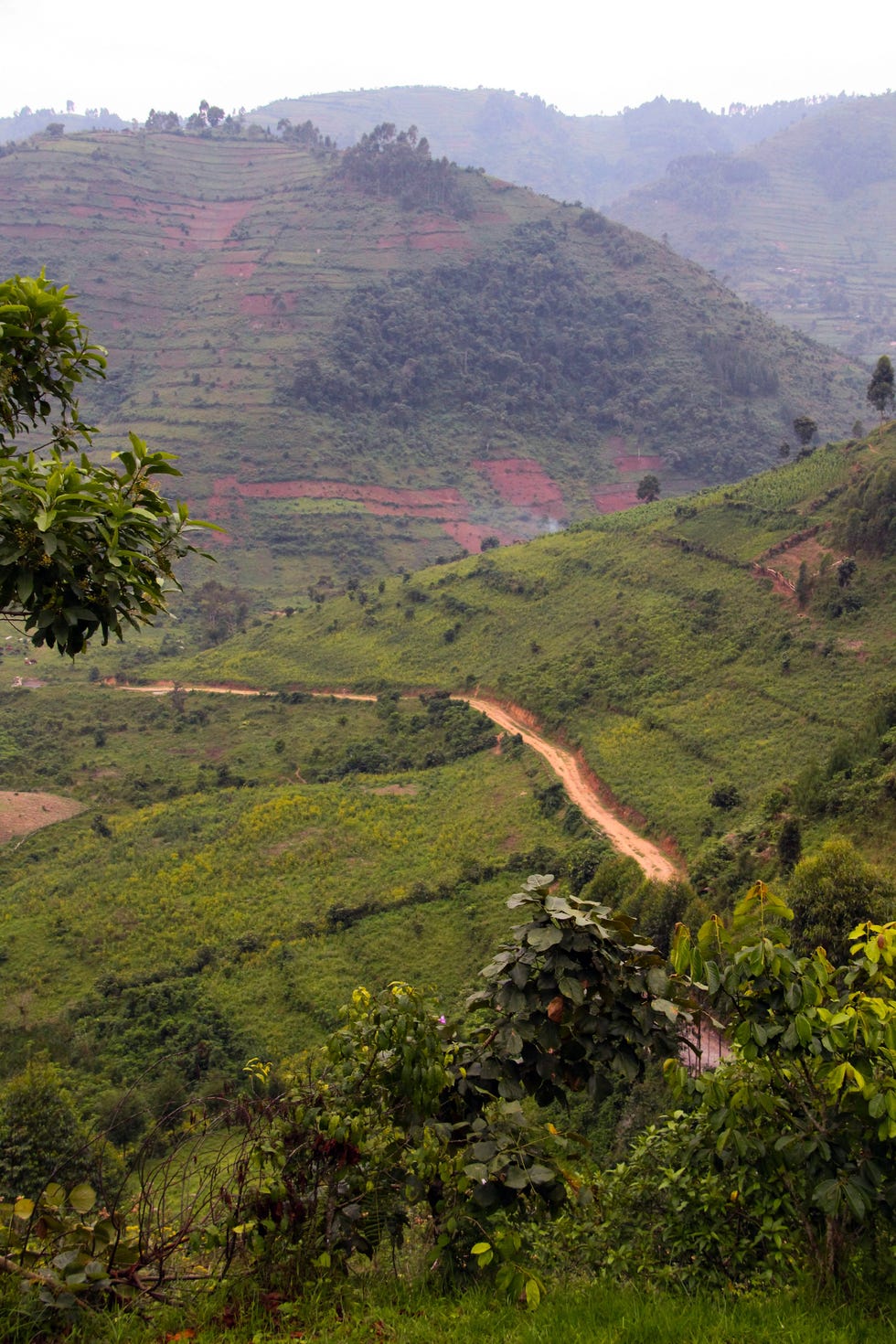 Uganda: Mountainous Region south of Bwindi Uganda: Mountainous Region south of Bwindi