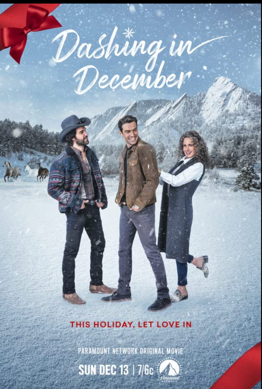 movie poster for dashing in december