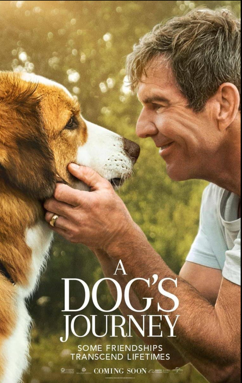 20+ Best Dog Movies to Watch - Best Movies About Dogs to Stream