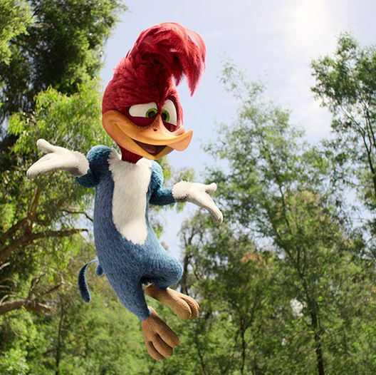 woody woodpecker shrugs in a scene from woody woodpecker goes to camp