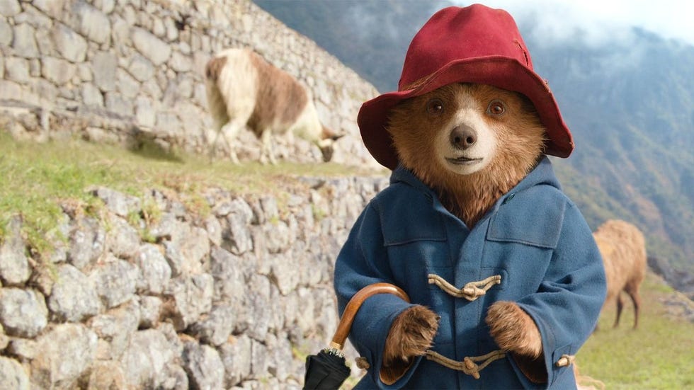 paddington dressed in a blue duffle coat and a red hat holding an umbrella stands in front of a scenic background of mountains and llamas in a scene from paddington in peru, a good housekeeping pick for best kids' movies 2025
