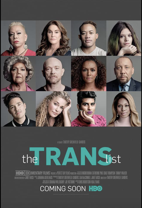 movie poster for the trans list