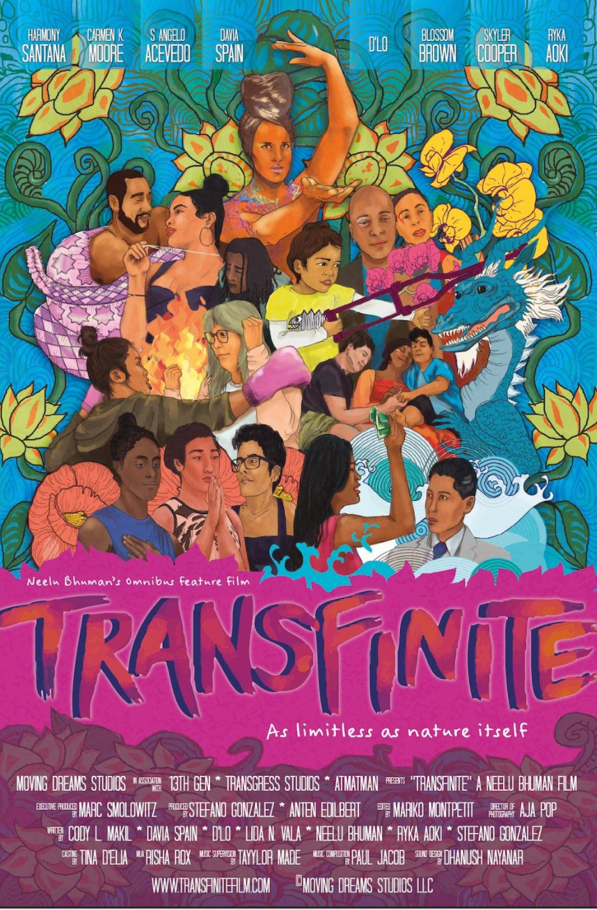 movie poster for transfinite