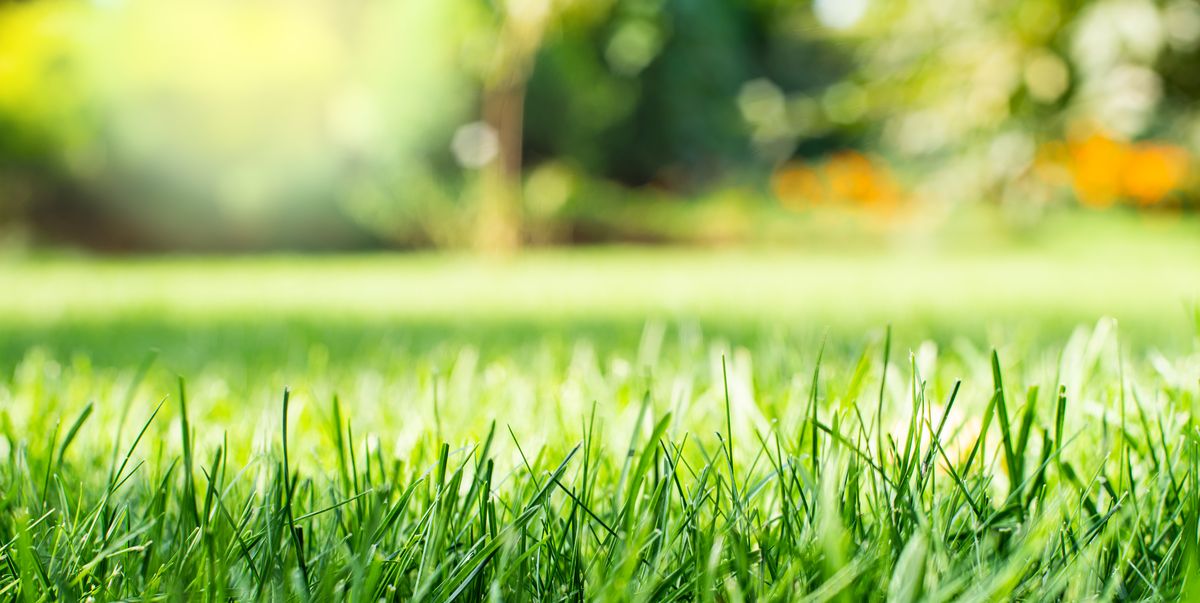 Experts Say You’re Mowing Your Yard All Wrong