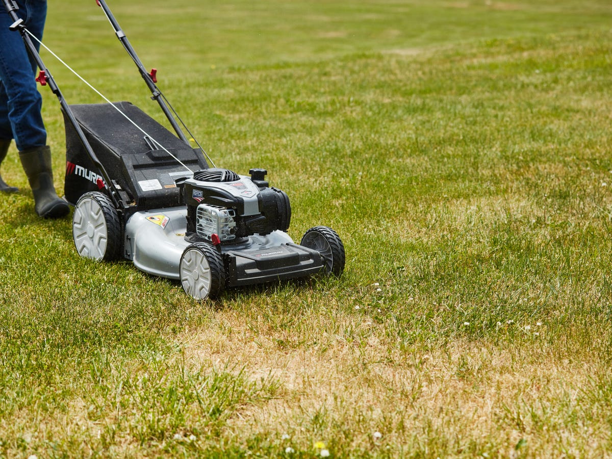 Lawn Care Utah County