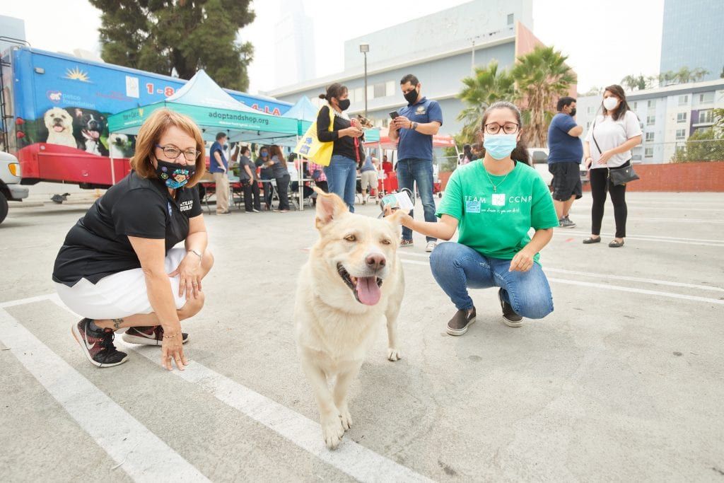 A Pop Up Helps Underserved Pet Owners in . - Michelson Found Animals  Foundation Pop Up 2022