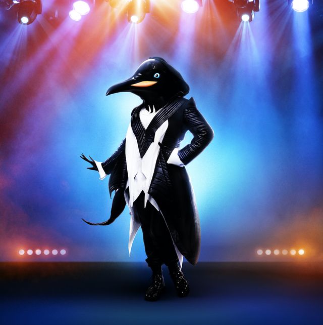 Penguin, Bird, Flightless bird, Sky, Performance, Fictional character, 