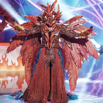who is phoenix on 'the masked singer'  phoenix revealed, spoilers, clues, and season 5 guesses
