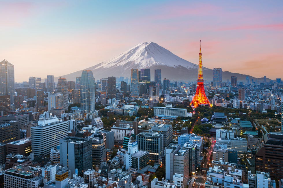 mt fuji and tokyo skyline