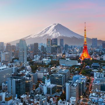 mt. fuji and tokyo skyline