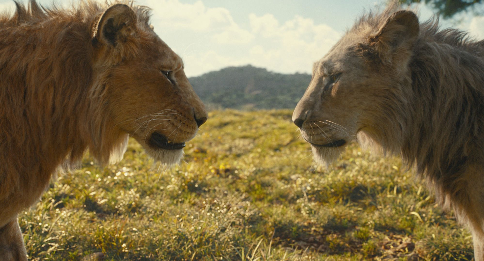 New Lion King movie debuts with mixed Rotten Tomatoes rating