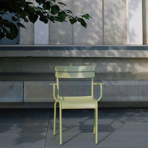 a yellow bench under a tree