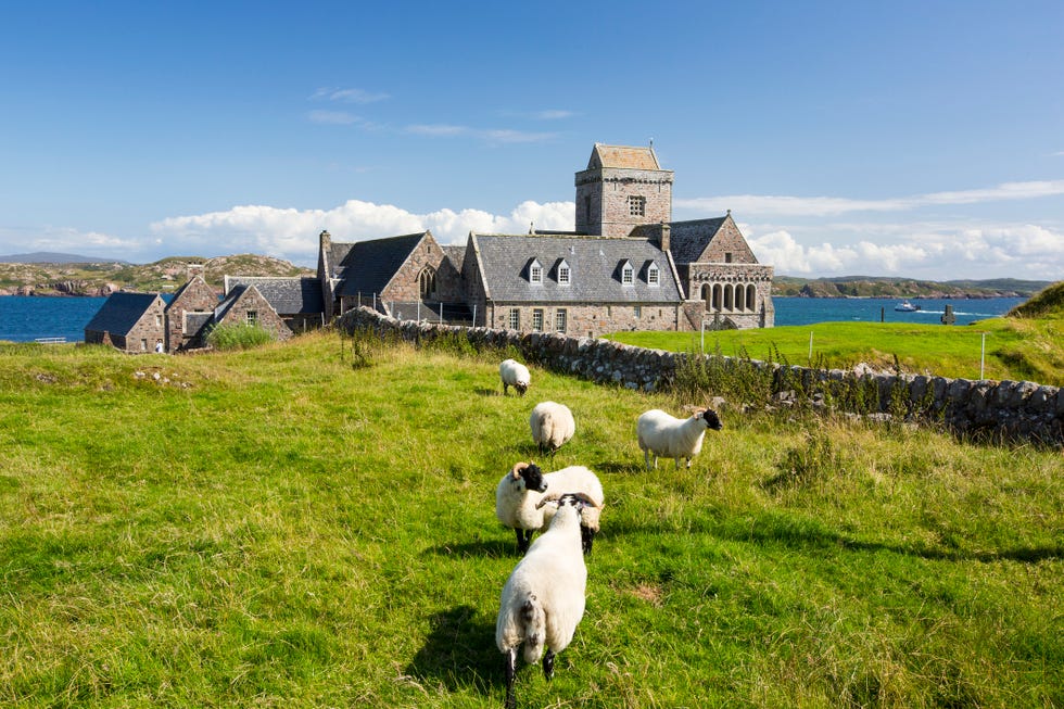 iona abbey on iona, off mull, scotland, uk