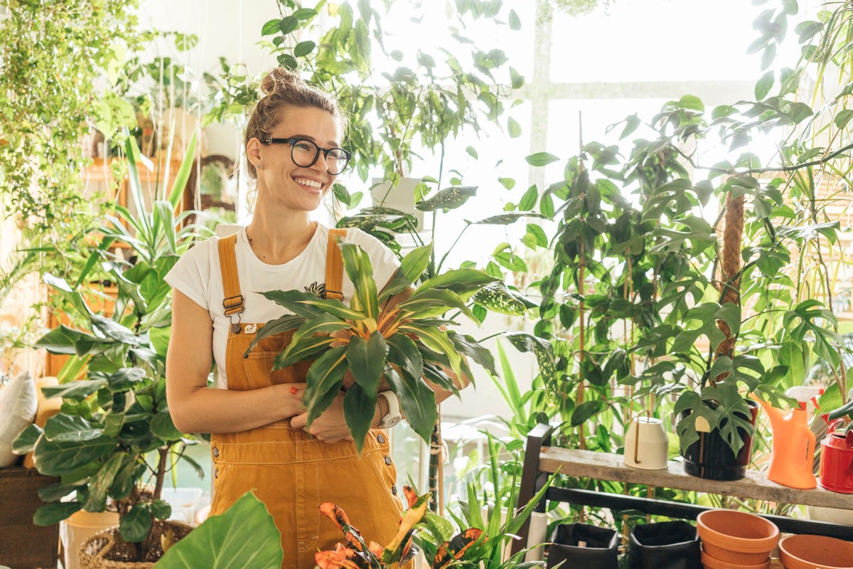 mujer con plantas de interior