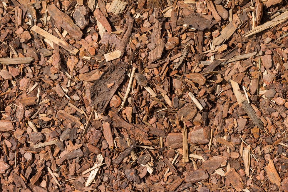 Mulch wood bark material seamless texture background