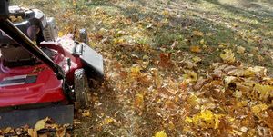 mulching leaves with the push mower