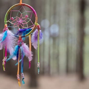 multi colored dreamcatcher hanging in the woods