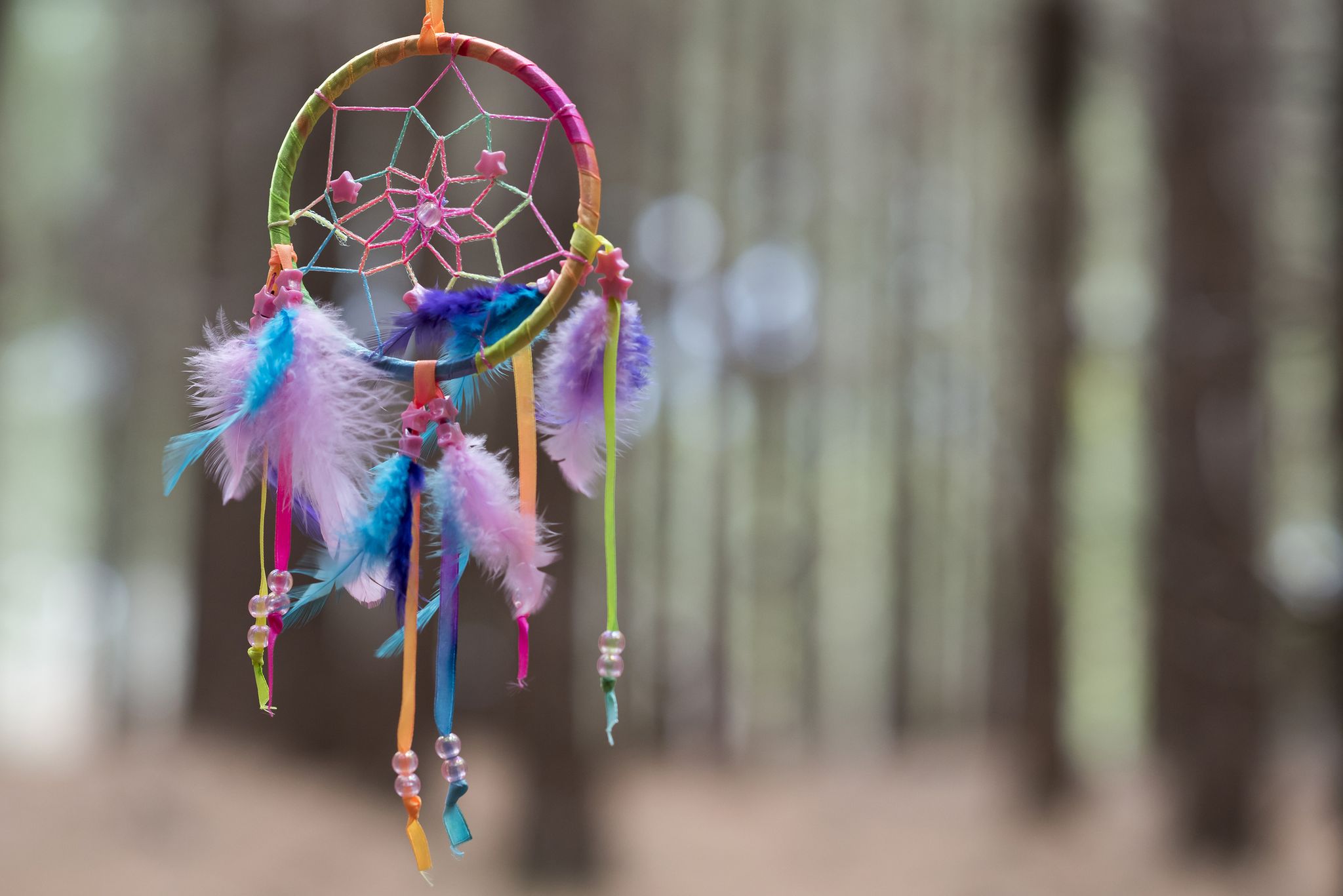 https://hips.hearstapps.com/hmg-prod/images/multi-colored-dreamcatcher-hanging-in-the-woods-royalty-free-image-605382175-1563459744.jpg?resize=2048:*