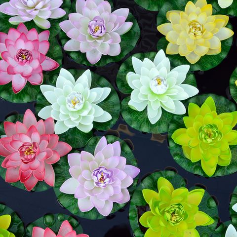 multicoloured plastic lotus flowers