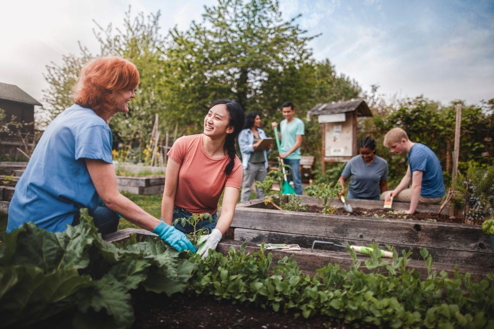 multiracial group volunteering in a garden in family friendly labor day activities