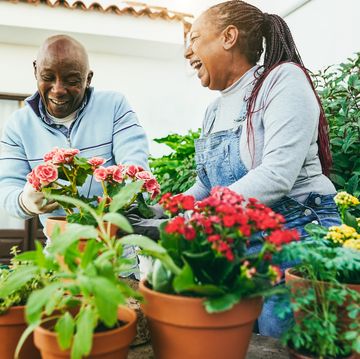 multiracial women preparing flowers plants inside home garden outdoor focus on african woman face