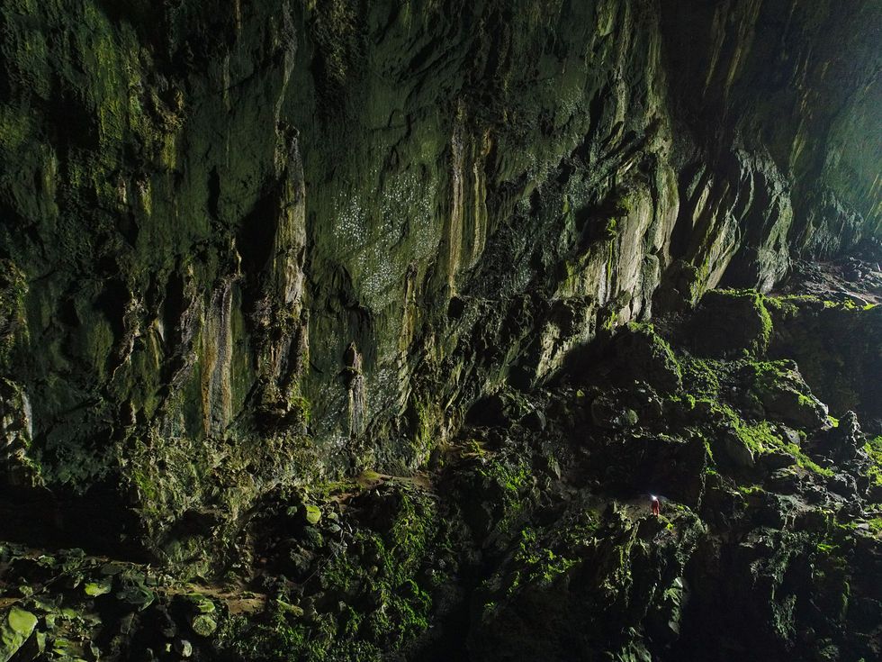 Een onderzoeker is maar een stipje in de gapende mond 150 meter hoog van de Deer Cave Tot ver in de grot valt zonlicht binnen zodat bij de ingang mossen varens en algen groeien Op de bodem doen krabben insecten en bacterin zich te goed aan vleermuizenmest