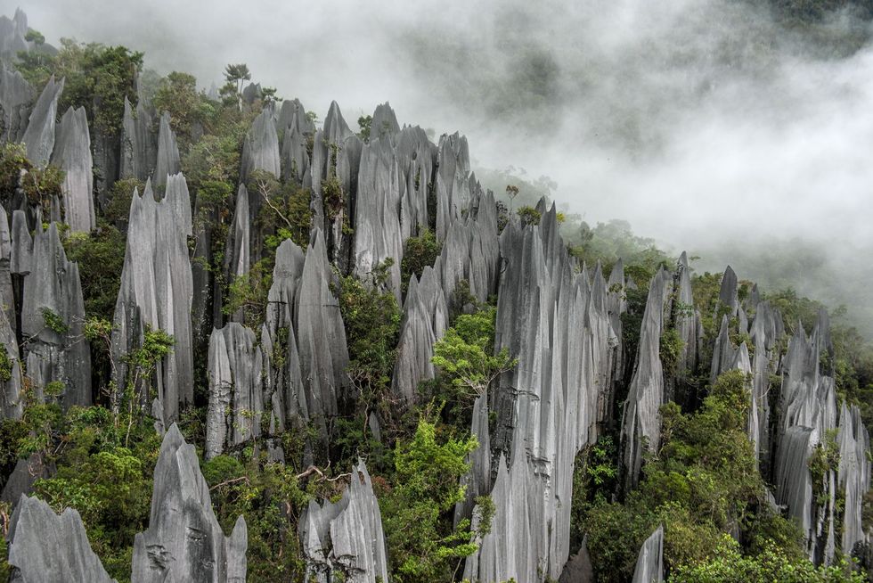 Kalksteenformaties steken uit boven de dichte begroeiing in het hart van Gunung Mulu een nationaal park op Maleisisch Borneo De formaties zijn een gevolg van honderdduizenden jaren erosie van de kalkstenen bodem Tegelijk ontstonden onder de grond spookachtige grotten