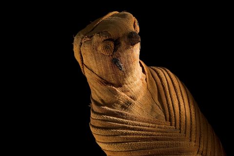 Deze mummie is voorzien van de kenmerken van een roofvogel maar bevat slechts een paar botjes van het dier
