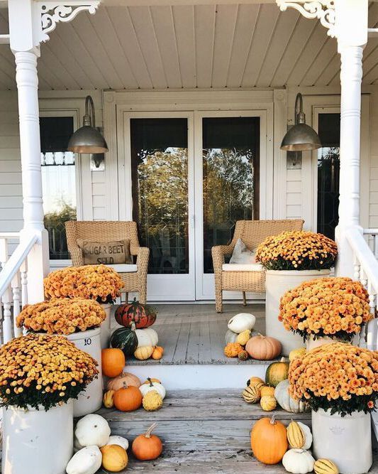 outdoor fall decorations mums