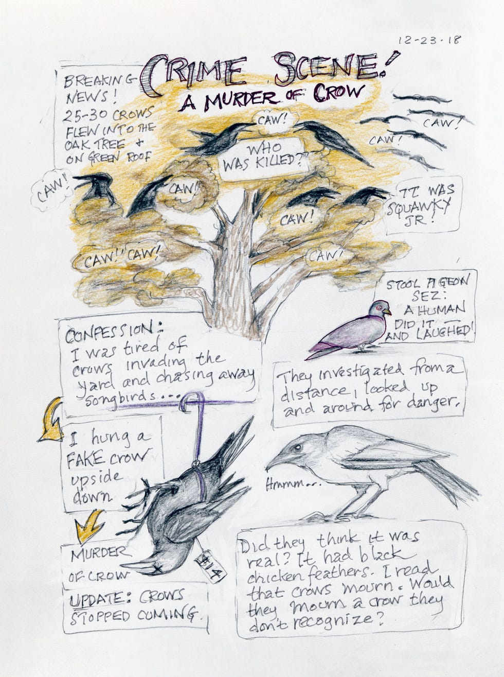 amy tan, backyard bird chronicles, murder of crows