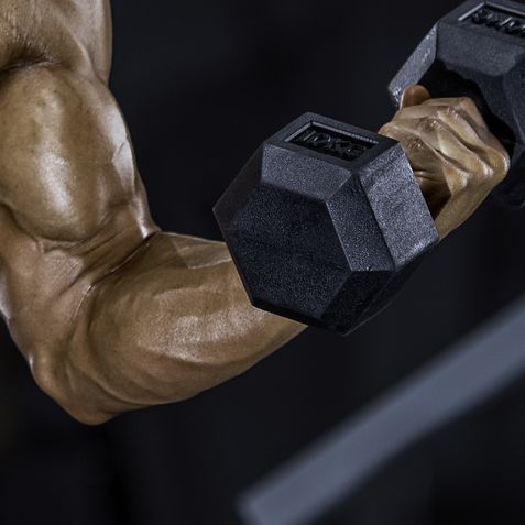 The 12 Exercises You Need for Bigger, Stronger Forearms