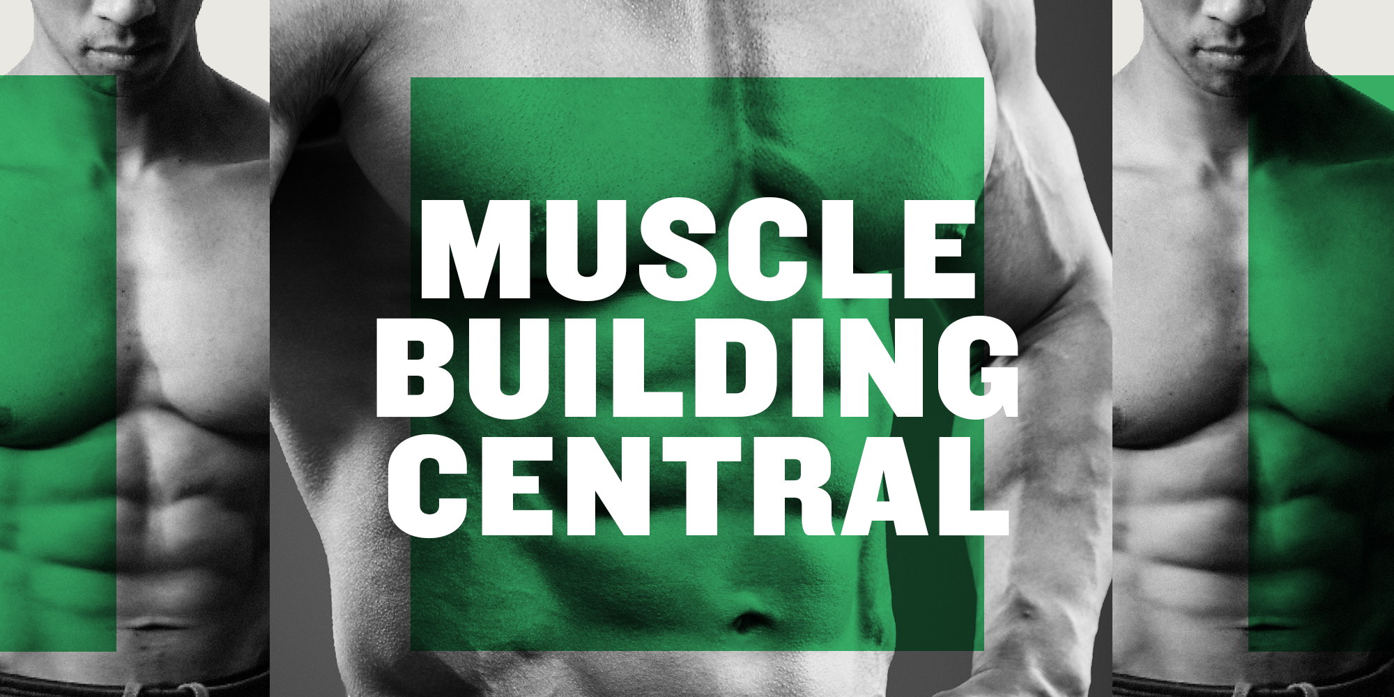 The Definitive Guide to Building More Muscle