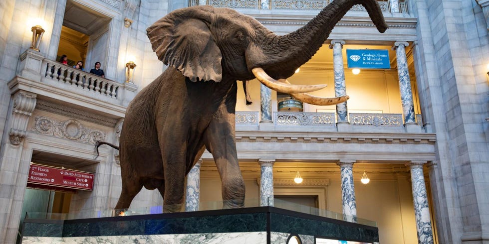 Museo Nacional de Historia Natural de Estados Unidos