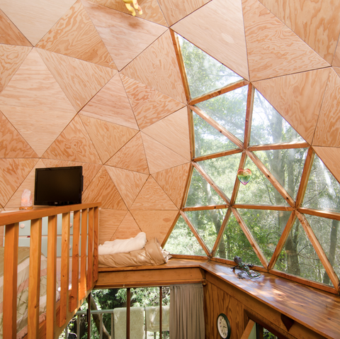 Mushroom Dome Airbnb Most Popular Airbnb Treehouse