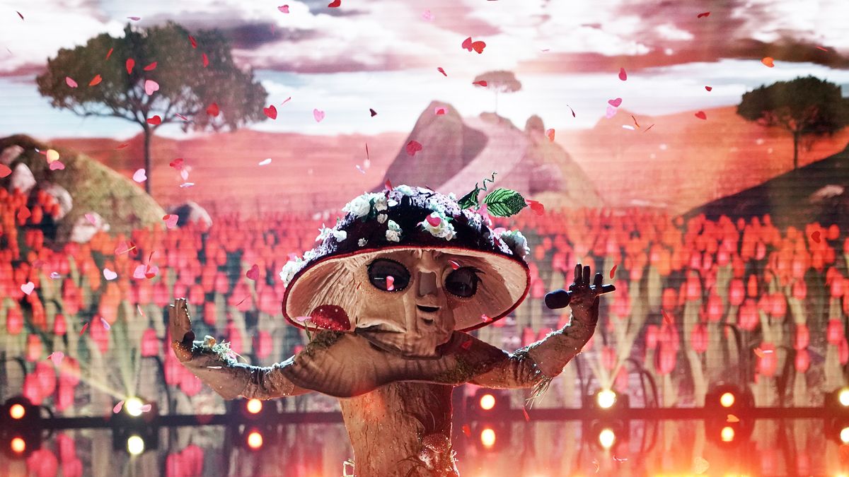 preview for Everything to Know About 'The Masked Singer' Judges