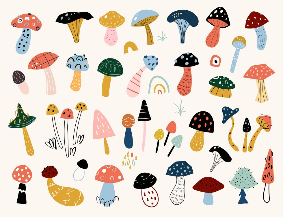 mushrooms change world
