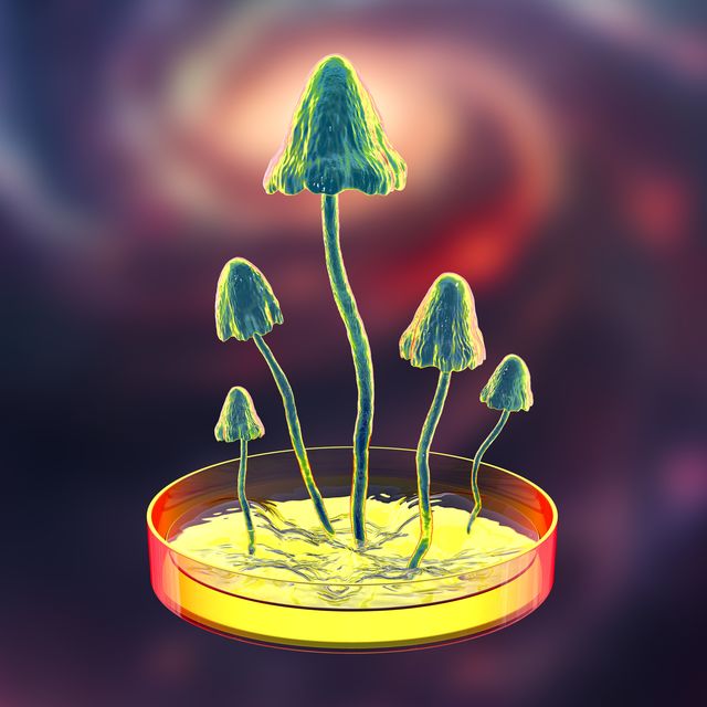 mushrooms growing in laboratory, conceptual illustration