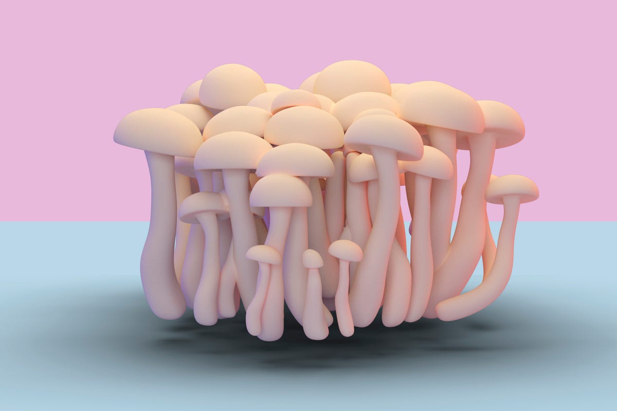 Mushrooms and sex? We explore the latest libido-boosting trend