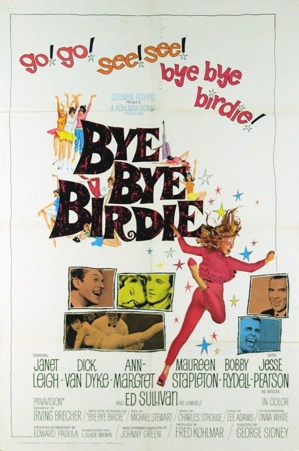 musical movies bye bye birdie musical movies bye bye birdie