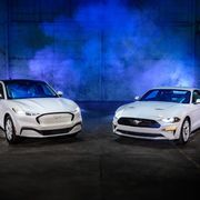 ford mustang and mustang mache ice white edition