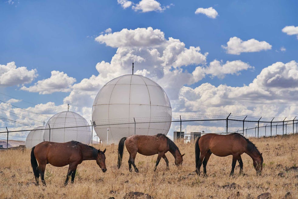 Nevada’s Mustang Ranch: The Brothel Behind the Tech Boom